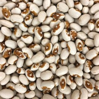 Yellow Eye Baking Bean Thumbnail